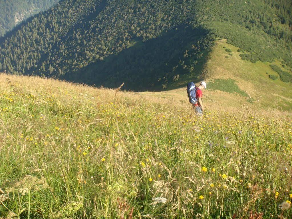 Penzion Tatras فيلكا لومنيكا المظهر الخارجي الصورة